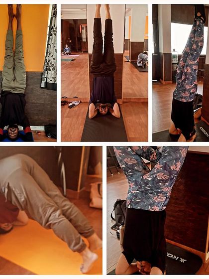 A collage of my dedicated students practicing Sirsasana (Headstand) and its preparations.