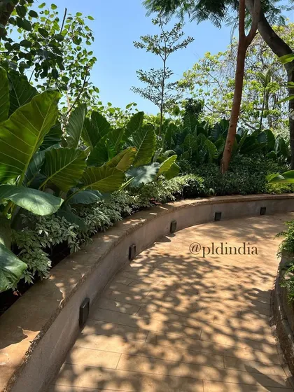 A sun-dappled pathway curves around a raised bed filled with tropical plants. The play of shadows from the overhead canopy adds depth and beauty to the journey.