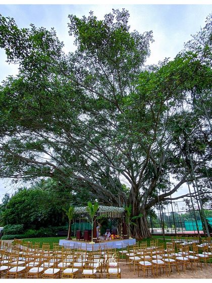 Petals - Wedding Decoration & Styling Timeless South Indian Mandaps photo 13