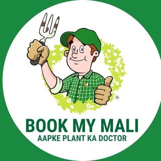 Book My Mali