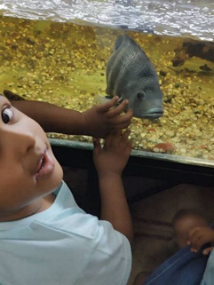 A gallery from our day at the aquarium. The children's faces light up with wonder as they observe the magic of underwater life, from colorful fish to starfish.