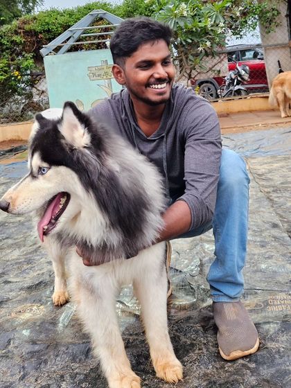 A candid shot of a visitor smiling while petting a happy Husky.