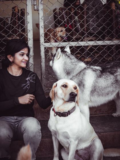 A visitor enjoying the company of a calm Labrador and a curious Husky.