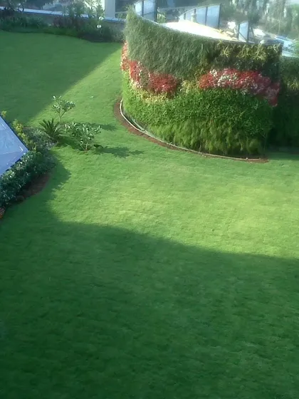 This curved vertical garden adds a soft, organic shape to a large lawn area. The design incorporates flowering plants to add pops of color against the green backdrop.