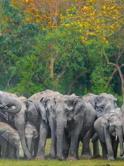 Additional Work photo 10