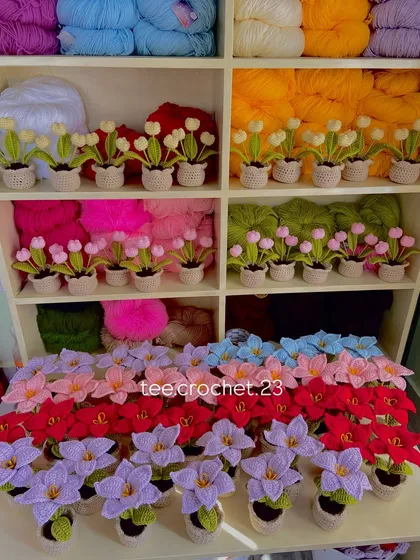 My workshop shelves filled with rows of potted tulips and lilies, ready to be packed for a client.