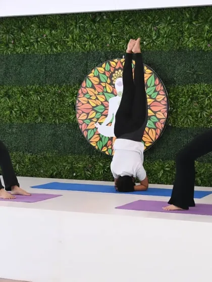 Three of our instructors showcase different advanced poses simultaneously: a headstand flanked by two wheel poses. This image is a testament to their individual skill and collective harmony.