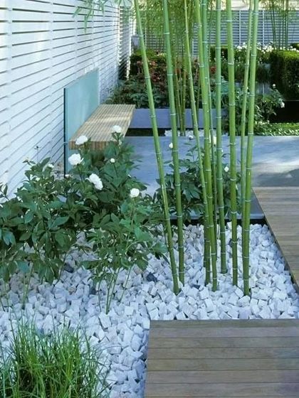 Zen & Modern Garden Designs photo 3