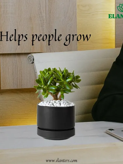 Reason 1: Plants help people grow. Gifting a plant is like gifting a journey of growth and care, making it a deeply meaningful present.