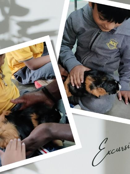 Ace Montessori - Summer Camp Outdoor Adventures & Excursions photo 9