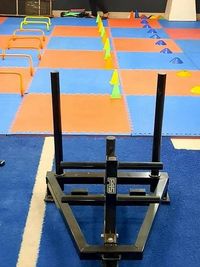 Gym & Fitness Services