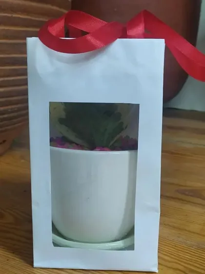 A single, elegantly packaged plant gift, perfect as a memorable favor for wedding guests.