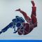 Ippon Martial Arts & Fitness