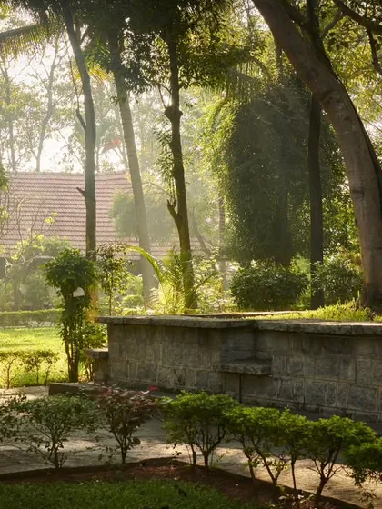 Morning light filters through the sacred Peepal and Neem trees in our garden. These trees are known for their healing energy, creating a sanctified space for our guests to reconnect with themselves and nature.
