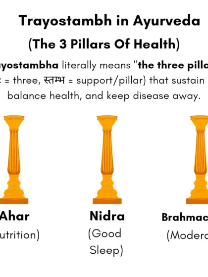 Rohit N - Yoga Teacher Training The Science of Yoga & Ayurveda photo 24