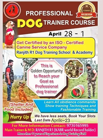 This is your golden opportunity to turn your passion for dogs into a professional career. Join my next Professional Dog Trainer Course at my ISO certified academy. Book your slot to learn everything from obedience commands to show training techniques.