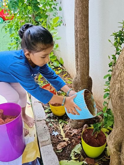 Purple Asters - Preschool & Daycare Making Memories: Special School Days photo 22