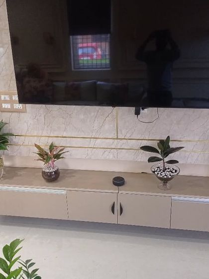 Hydroponic & Water-Based Plants photo 32