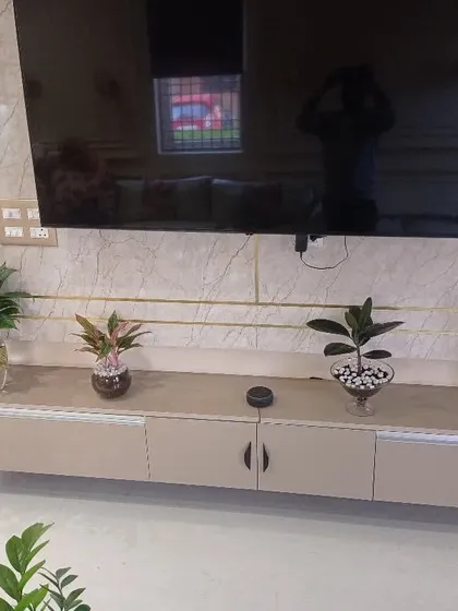 We also provide indoor plant solutions. Here, we've used hydroponic plants in glass vases to decorate a media console, adding a touch of green to the interior space with no soil and minimal maintenance.