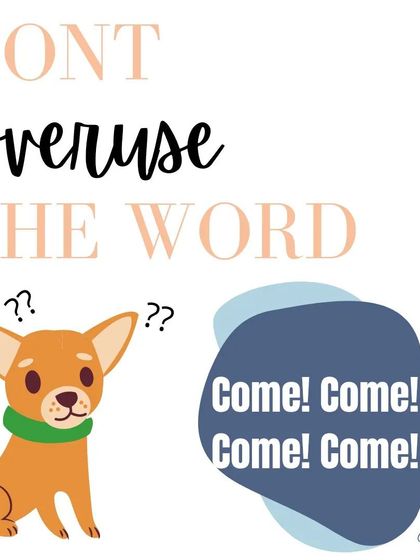 It's tempting to repeat the word 'come, come, come!' if your dog doesn't respond right away, but this can teach them to ignore it. I'll show you how to make the cue powerful with just one call.