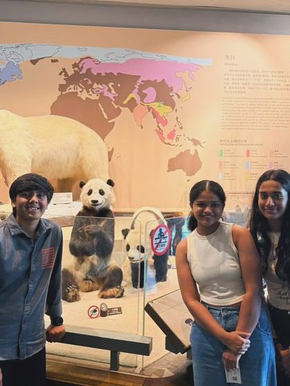 Posing with the pandas. A visit to the natural history museum isn't complete without seeing the iconic animal exhibits.