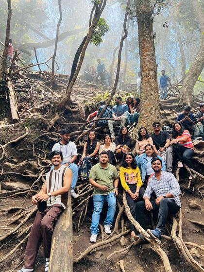 Another perspective of the group posing among the fascinating tree roots in the misty forest.