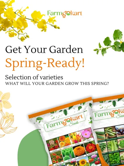 Get your garden spring-ready! This is the time to decide what you want to grow as the weather warms up. I have a great selection of varieties perfect for spring.
