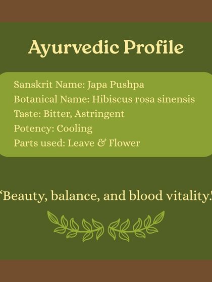 The beautiful Hibiscus flower is more than just decoration. We explore its Ayurvedic profile and how to use its leaves and flowers for home remedies, from hair masks to teas for hormonal support.