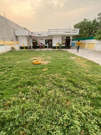 Another angle of the playground during development. You can see the full extent of the space the dogs have to run and play.
