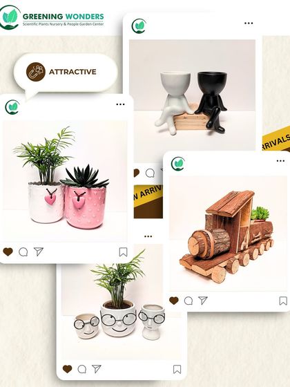 Greening Wonders - Corporate & Personal Plant Gifting Designer & Themed Ceramic Pots photo 3