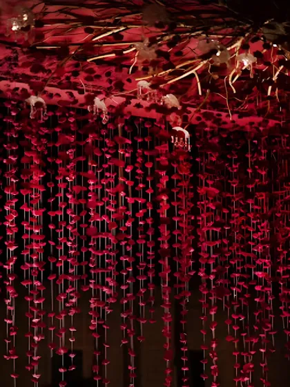 The mandap ceiling adorned with cascading strings of red flowers. This detail adds a vibrant splash of color and texture, creating a beautiful canopy above the couple during their ceremony.