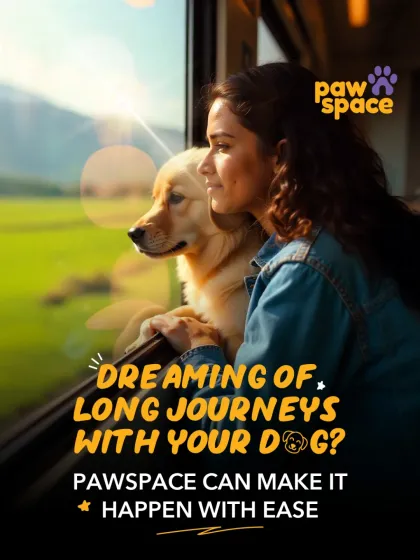 Planning a big move or a long vacation? We handle everything from long distance pet transport by road or air to ensure your best friend's journey is as comfortable and seamless as your own.