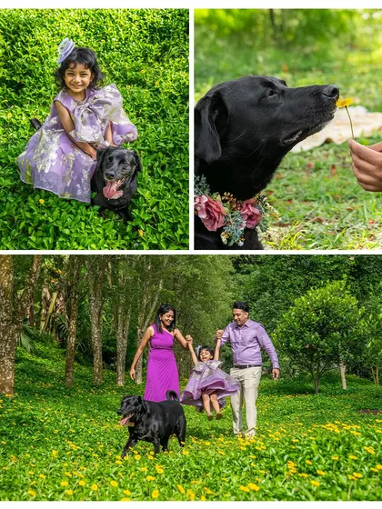 A collage of magical moments from an outdoor family shoot. It features a girl with her dog, the dog smelling a flower, and the whole family walking hand-in-hand through a beautiful green landscape.