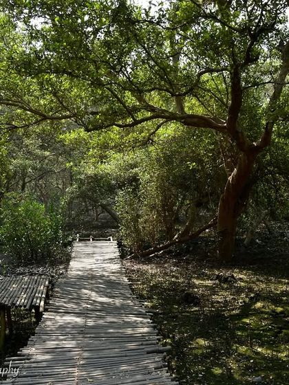 A Voice for Conservation photo 10