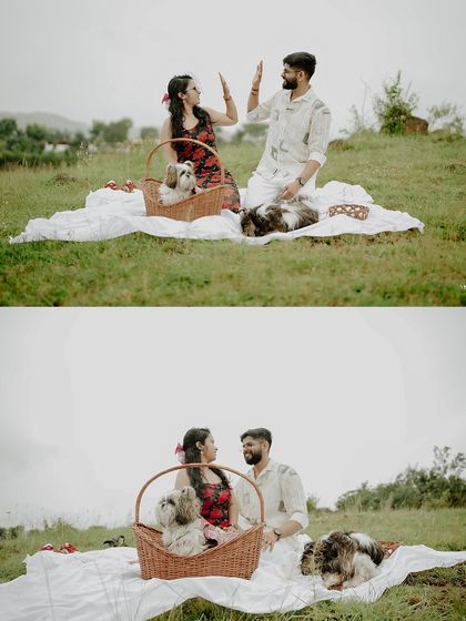 A high-five to forever. This collage shows the couple celebrating their love with a picnic and their furry companions, capturing both playful and serene moments.