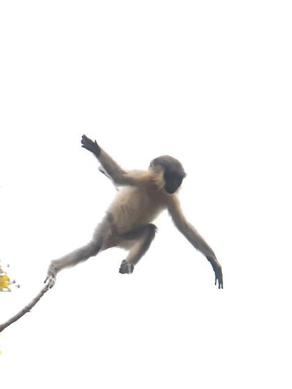 Wild Expressions: The Lighter Side of Nature photo 9