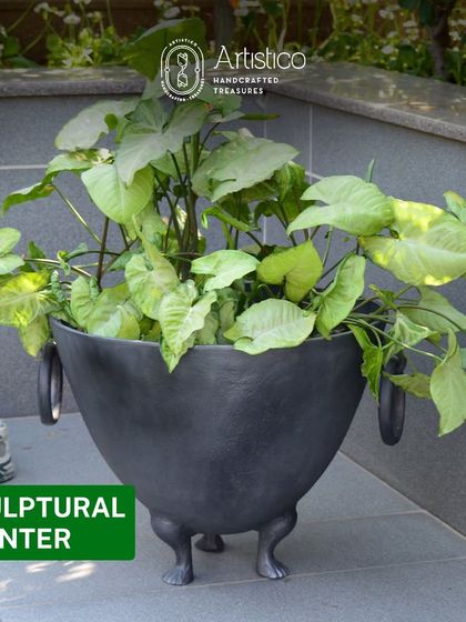 This sculptural planter in a charcoal grey finish has unique feet, adding a quirky and artistic touch to your plant display.