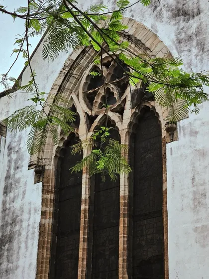 A large arched window with beautiful tracery, seen through the delicate branches of a tree.