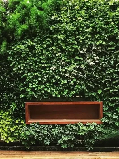 This is a living wall I created, a vertical garden that acts as a piece of natural art. It's not just visually stunning; it also improves air quality, making it perfect for both exterior and interior spaces.