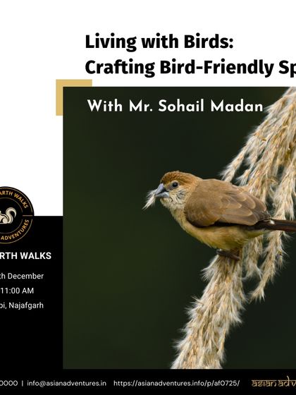 Creative Nature Workshops photo 6