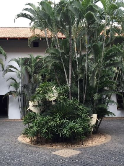 The entrance courtyard at the LMW Headquarters in Coimbatore welcomes visitors with a central island of lush palm trees. This space sets a tone of tranquility and establishes the importance of landscape in the user's journey through the building.