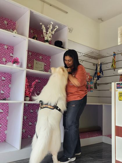 Furrybells Pet Grooming - Pet Grooming (Dogs & Cats) The Comfort-First Philosophy photo 30