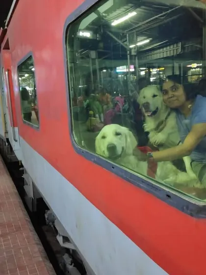 Yes, you can travel with your dogs on Indian Railways. This was a throwback to our first-ever train journey together, a key part of learning how to navigate different modes of transport.