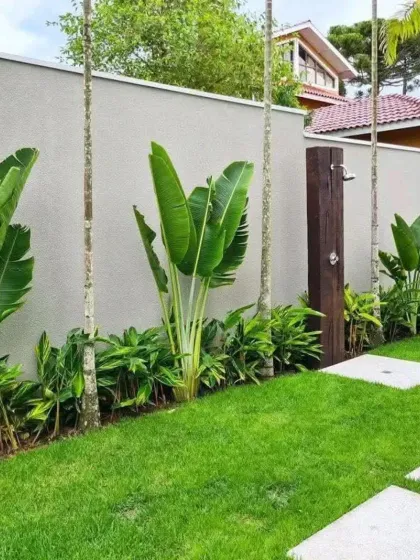 A simple yet elegant backyard solution featuring a lush lawn, privacy wall, and tropical plants like the Bird of Paradise. An outdoor shower is neatly integrated into the design for poolside convenience.