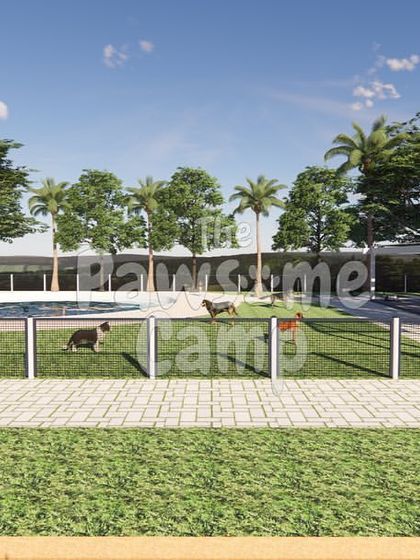 The Pawsome Camp - Dog Daycare & Boarding Behind The Pawsome Camp photo 3