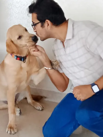 A quiet moment with a sweet Labrador. These moments of connection are the reason I do what I do. Building a bond based on trust and affection is the ultimate reward.