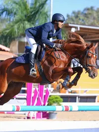 Competitive Equestrian Training