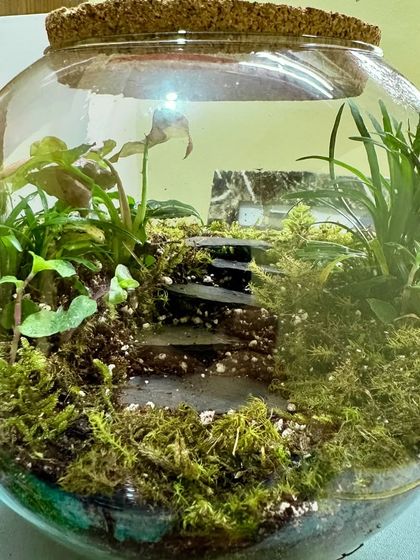 Build Your Own World: DIY Kits photo 4