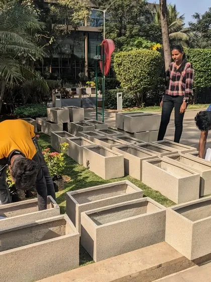 Our team works together to prepare the large batch of rectangular planters. We check each one for quality and ensure the drainage systems are clear before we begin the soil filling process.