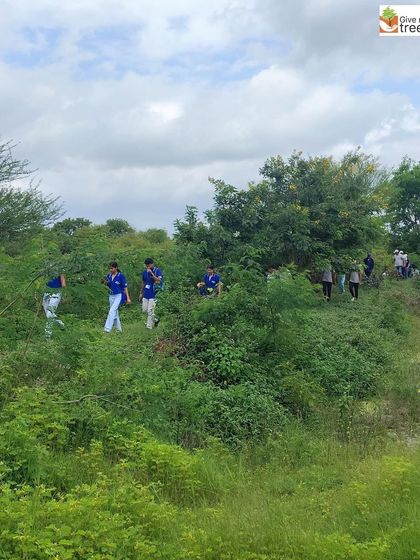 The Honeywell team during their plantation day in Pune, which included a nature walk along a waterway before the planting began. This holistic approach connects volunteers to the broader landscape they are helping to restore.